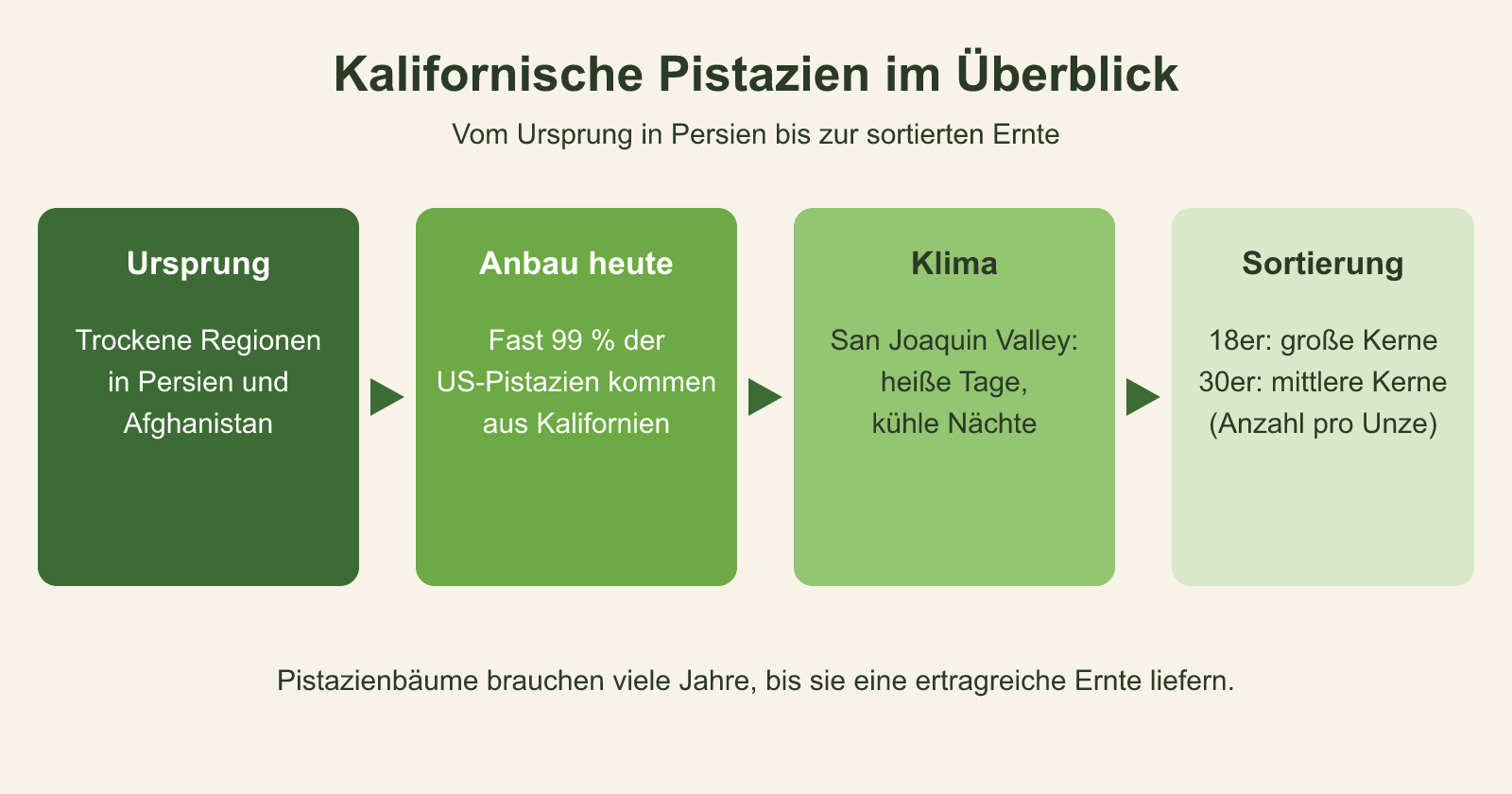 Schaubild: Kalifornische Pistazien – Herkunft & Details Kalifornische Pistazien: Herkunft, Anbau, Klima und Sortierung im Überblick
