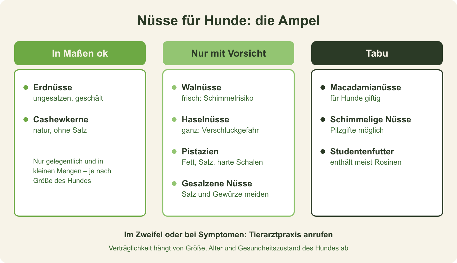 Schaubild: Dürfen Hunde Nüsse essen? Der große Überblick Ampel-Übersicht: welche Nüsse Hunde in Maßen fressen dürfen, welche nur mit Vorsicht infrage kommen und welche tabu sind